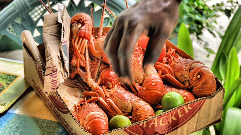 Jamaican Lobster Salad Make A Dish!